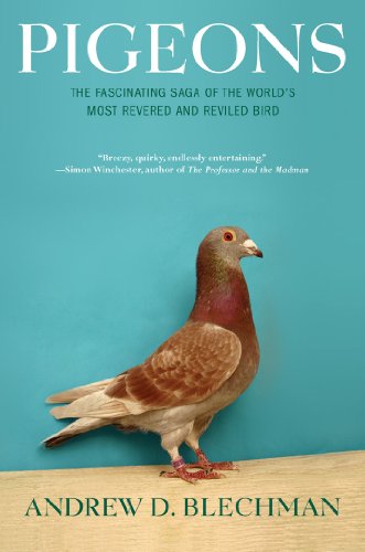 Pigeons Cover