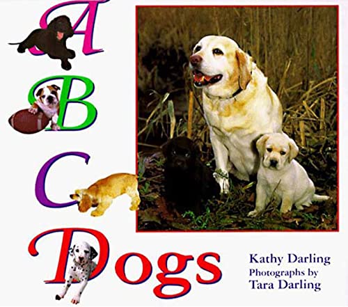 ABC dogs Cover