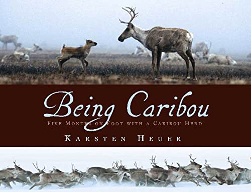 Being Caribou Cover