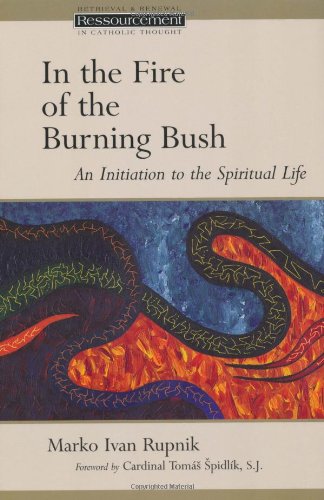 In the Fire of the Burning Bush Cover