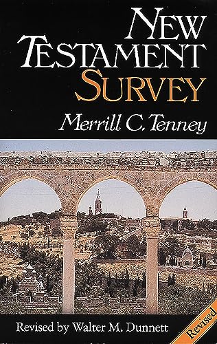 New Testament survey Cover