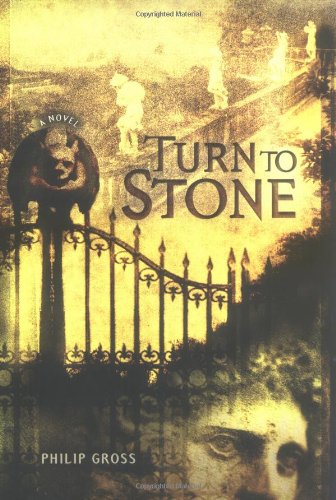 Turn to stone Cover