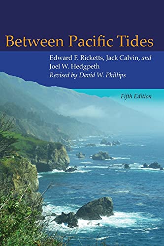 Between Pacific Tides Cover
