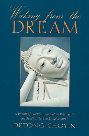Waking from the dream Cover