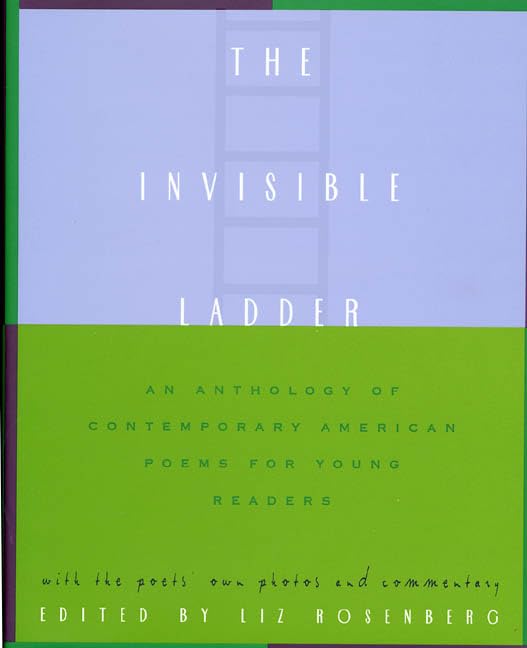 The Invisible Ladder Cover