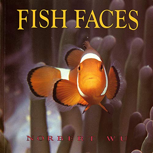 Fish Faces Cover