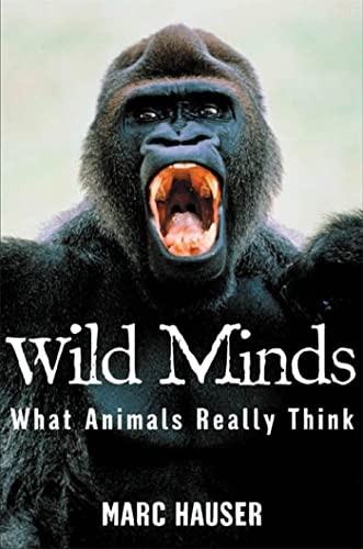Wild Minds Cover