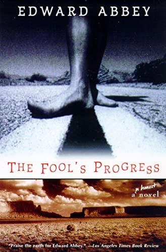 The Fool's Progress Cover