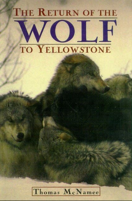 The return of the wolf to Yellowstone Cover