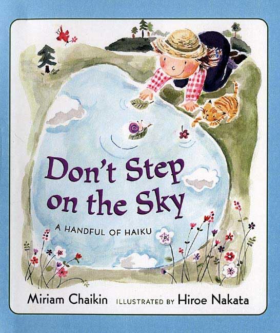 Don't step on the sky Cover