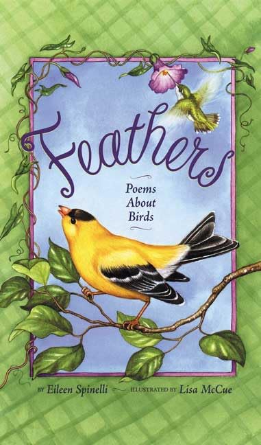 Feathers Cover