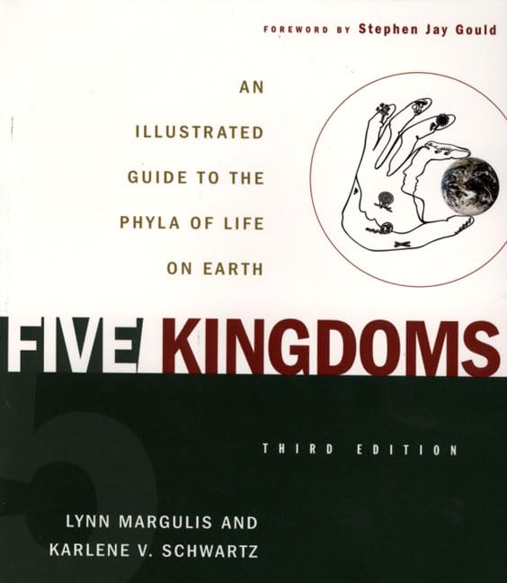Five Kingdoms Cover