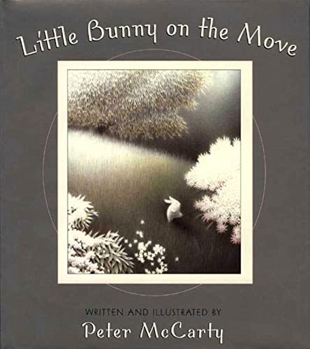 Little Bunny on the Move (An Owlet Book) Cover