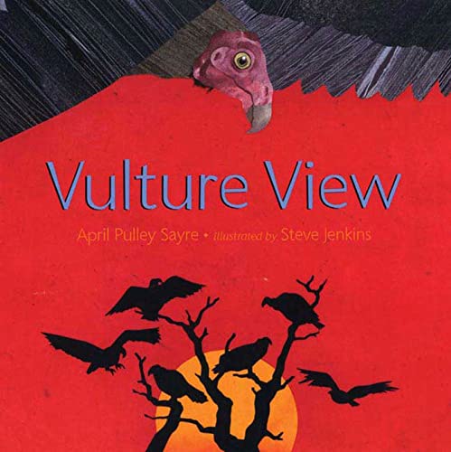 Vulture View Cover
