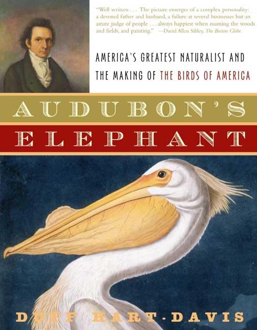 Audubon's Elephant Cover