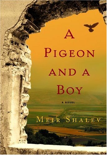 A Pigeon and a Boy Cover