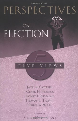 Perspectives on Election Cover