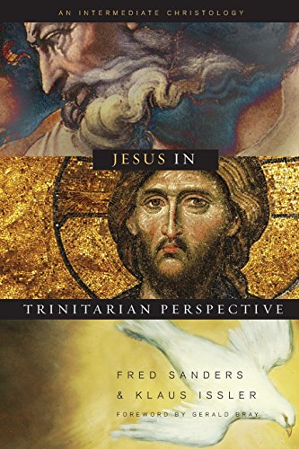 Jesus in trinitarian perspective Cover