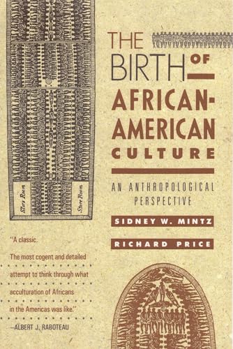 The birth of African-American culture Cover