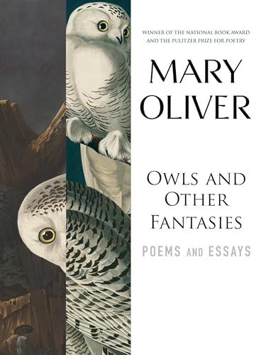 Owls and other fantasies Cover