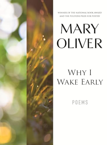 Why I Wake Early Cover