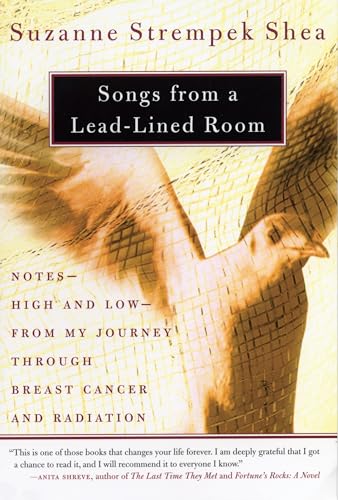 Songs from a Lead-Lined Room Cover