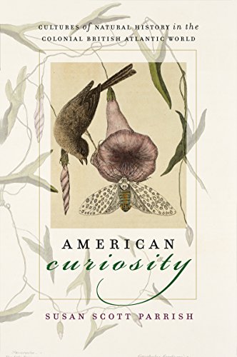 American curiosity Cover