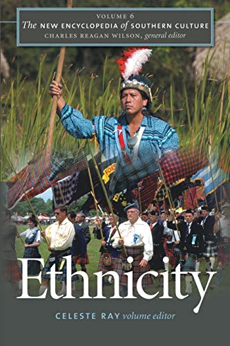The New Encyclopedia of Southern Culture: Volume 6 Cover