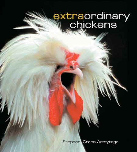 Extraordinary Chickens Cover
