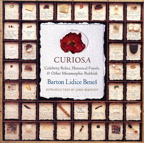 Curiosa Cover