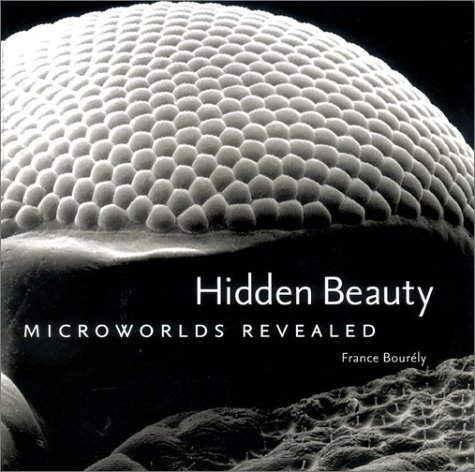 Hidden beauty Cover