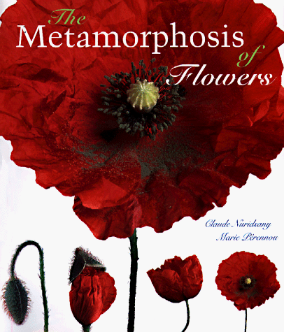 The metamorphosis of flowers Cover