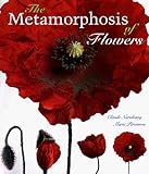 Book Cover for 0810936259