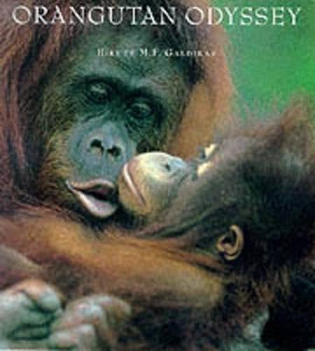 Orangutan odyssey Cover