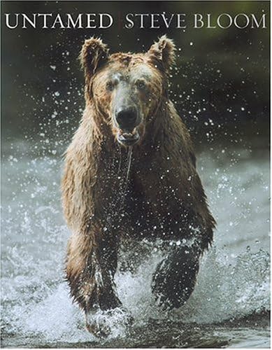 Attempted cover for Book ID: 081095611X