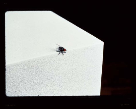 Attempted cover for Book ID: 0810962144