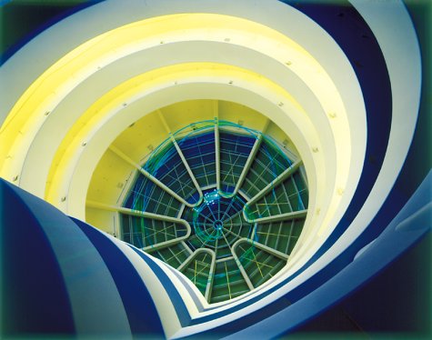 Attempted cover for Book ID: 0810969254