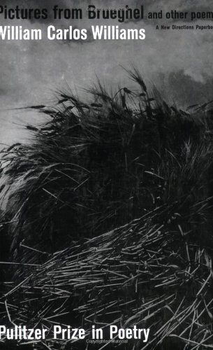 Attempted cover for Book ID: 0811202348