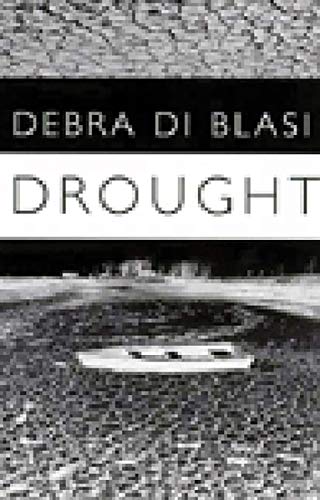 Drought & Say What You Like Cover