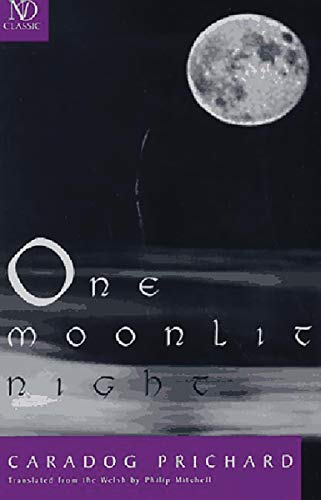 One moonlit night Cover