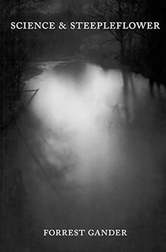 Attempted cover for Book ID: 0811213811