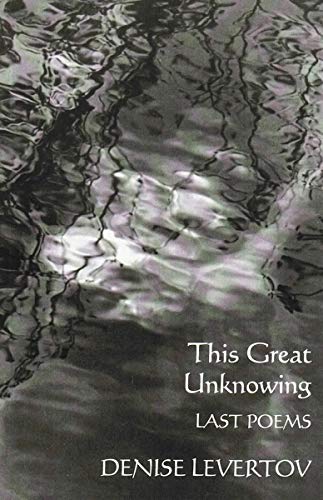 This Great Unknowing Cover