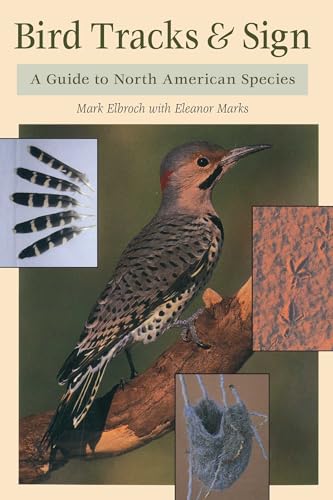 Attempted cover for Book ID: 0811726967