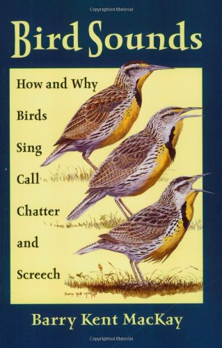 Bird sounds Cover