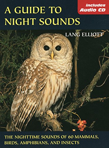 A Guide to Night Sounds Cover