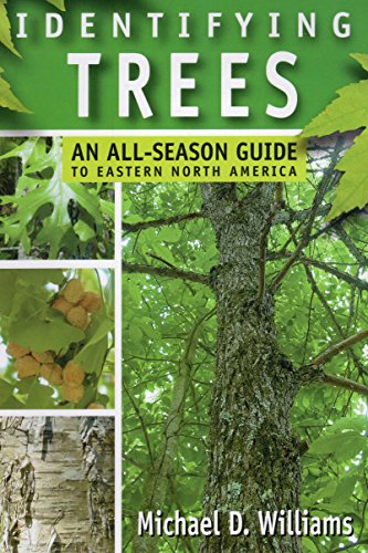 Identifying Trees Cover