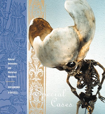 Attempted cover for Book ID: 0811815684