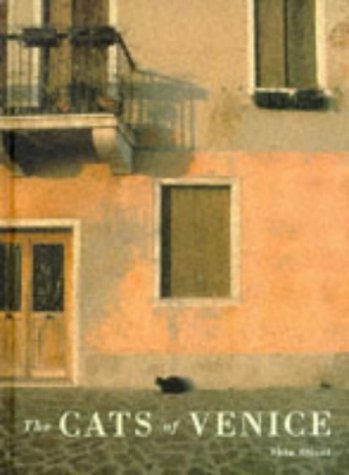 The cats of Venice Cover