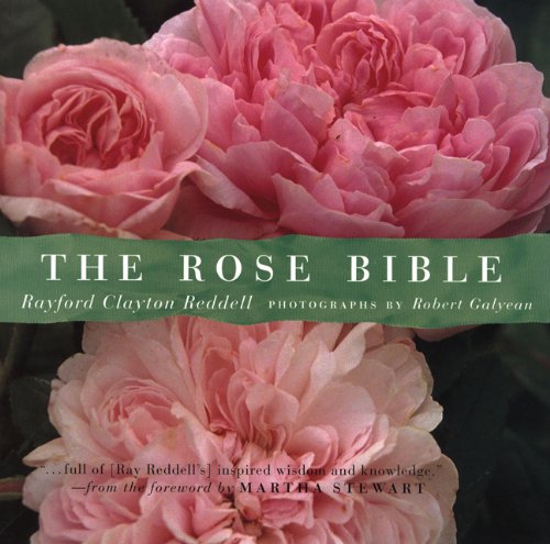 The rose bible Cover