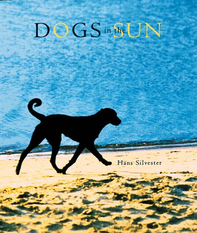 Dogs in the sun Cover